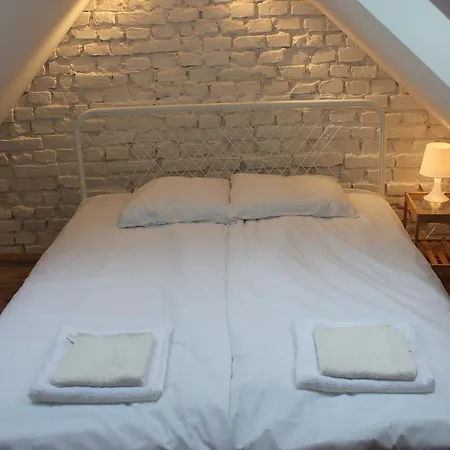 Three-bedroom On Peldu 19 Riga